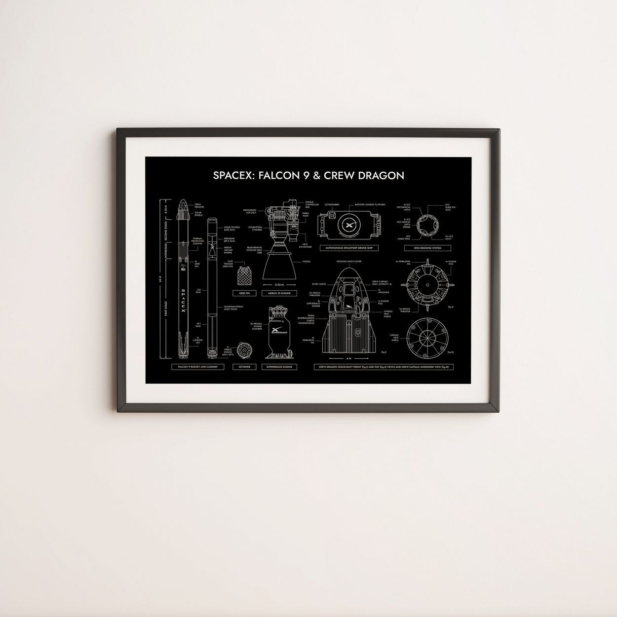 SpaceX: Falcon 9 & Crew Dragon Poster