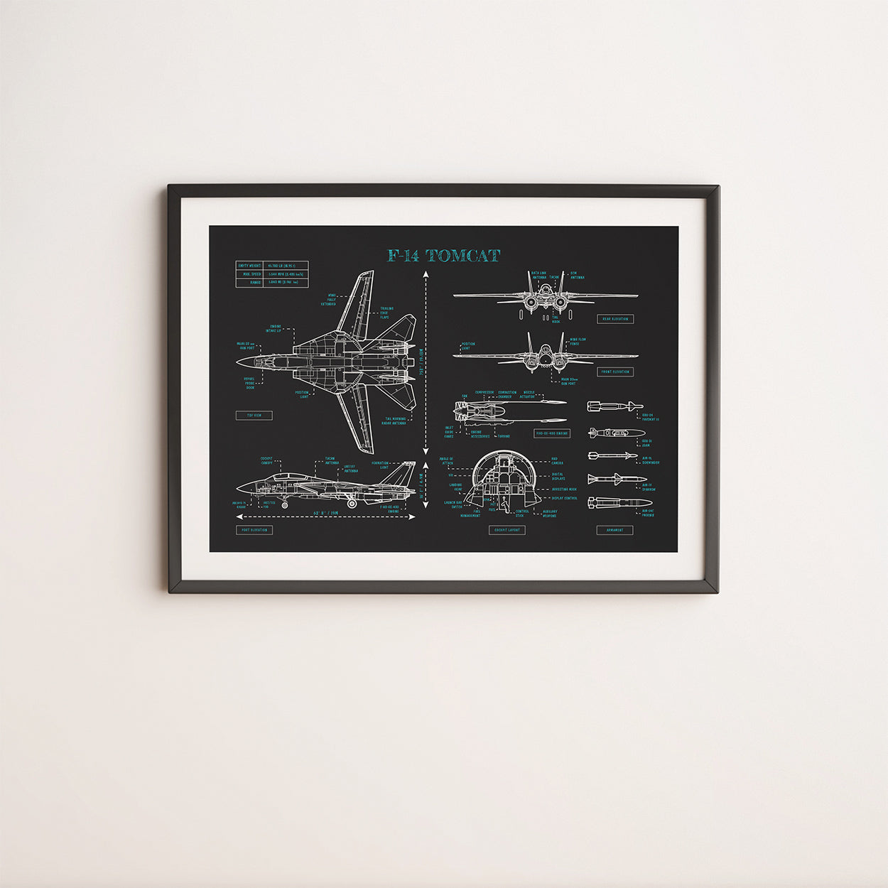 F-14 Tomcat Poster
