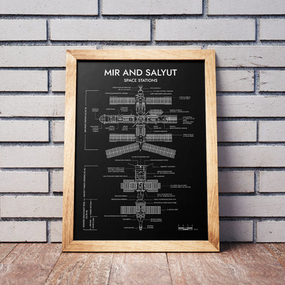 Mir and Salyut Space Stations Vertical Poster