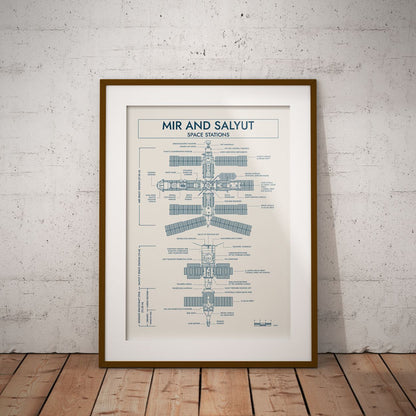 Mir and Salyut Space Stations Vertical Poster