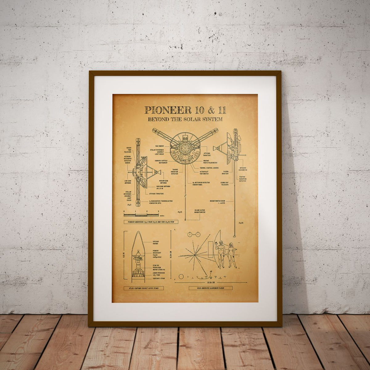 Pioneer. Outer Planet Exploration Probes Vertical Poster