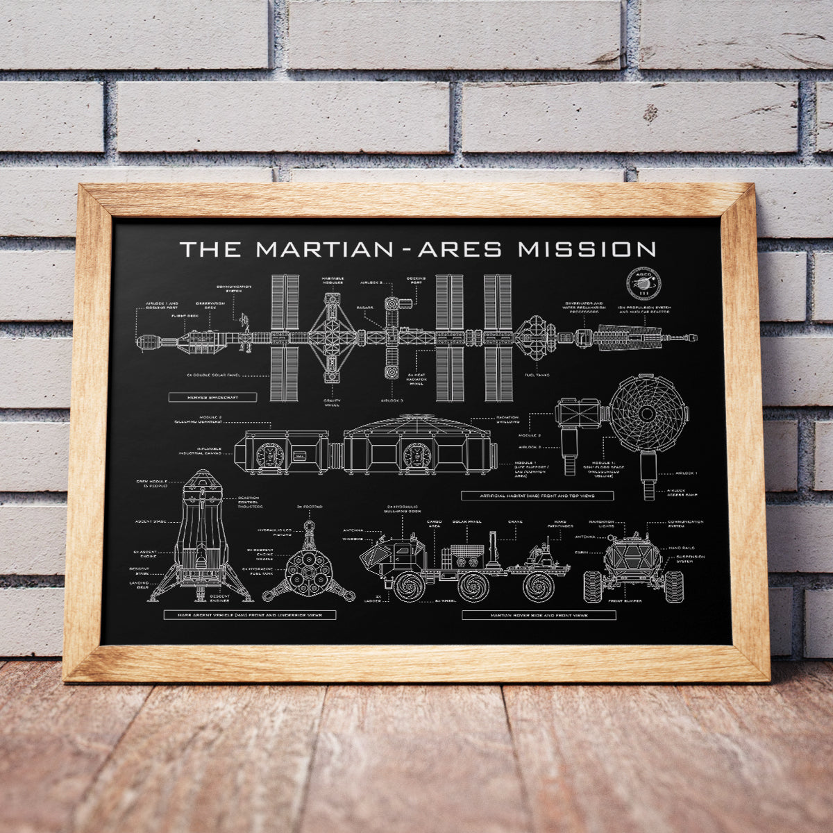The Martian. Ares Mission Poster