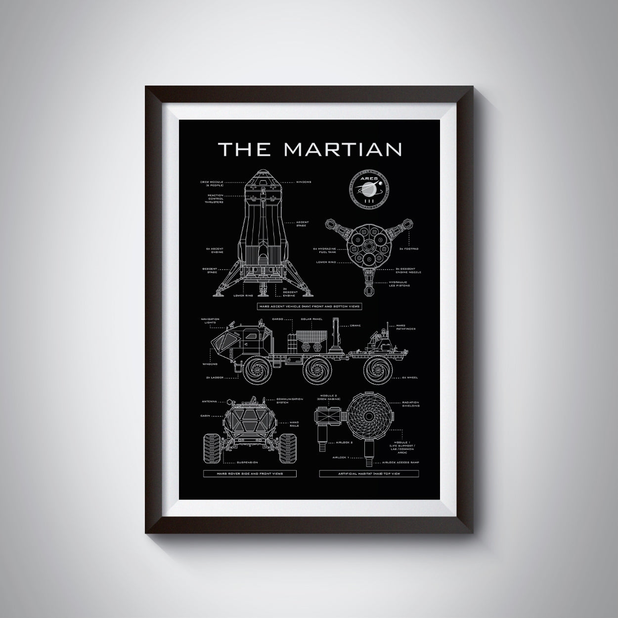 The Martian Vertical Poster