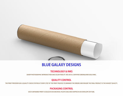 Dream Chaser Blueprint Poster